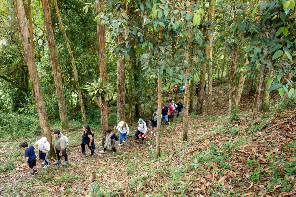Fusacatán: Un Viaje a las Entrañas del Guardián de los Sutagaos 14
