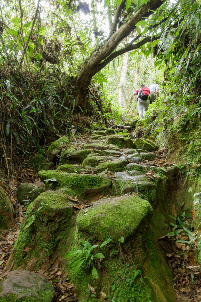 Fusacatán: Un Viaje a las Entrañas del Guardián de los Sutagaos 15