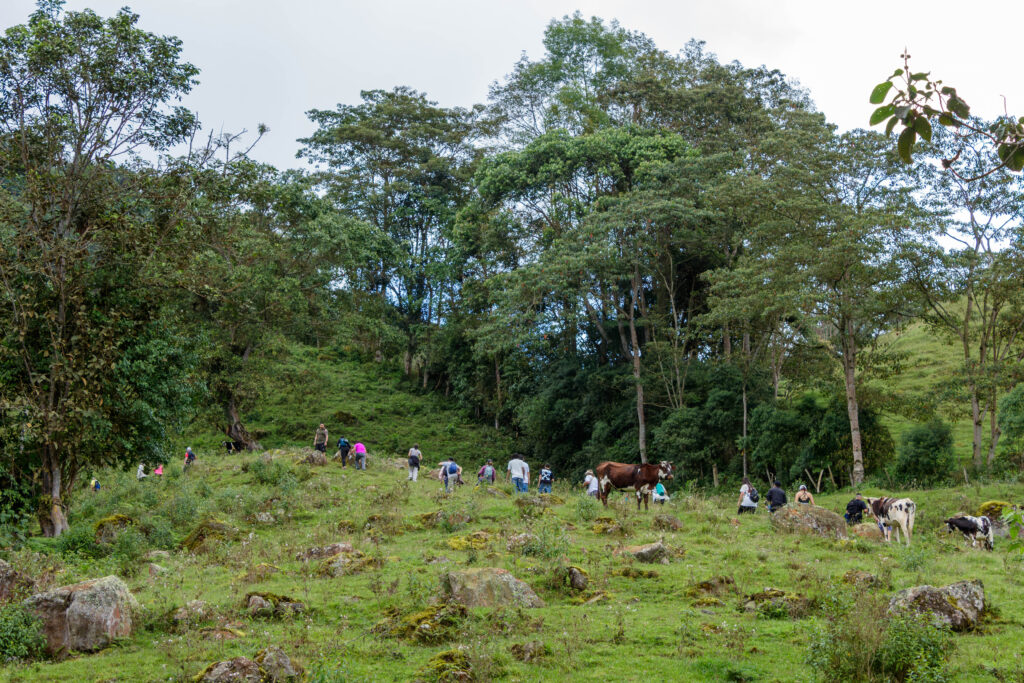 Fusacatán: Un Viaje a las Entrañas del Guardián de los Sutagaos 16
