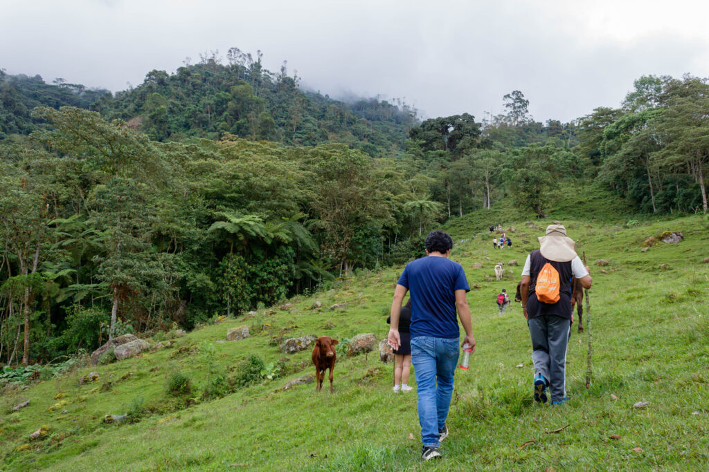 Fusacatán: Un Viaje a las Entrañas del Guardián de los Sutagaos 17