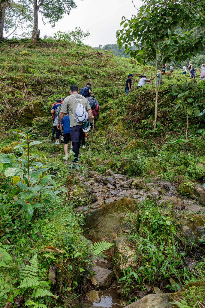 Fusacatán: Un Viaje a las Entrañas del Guardián de los Sutagaos 20