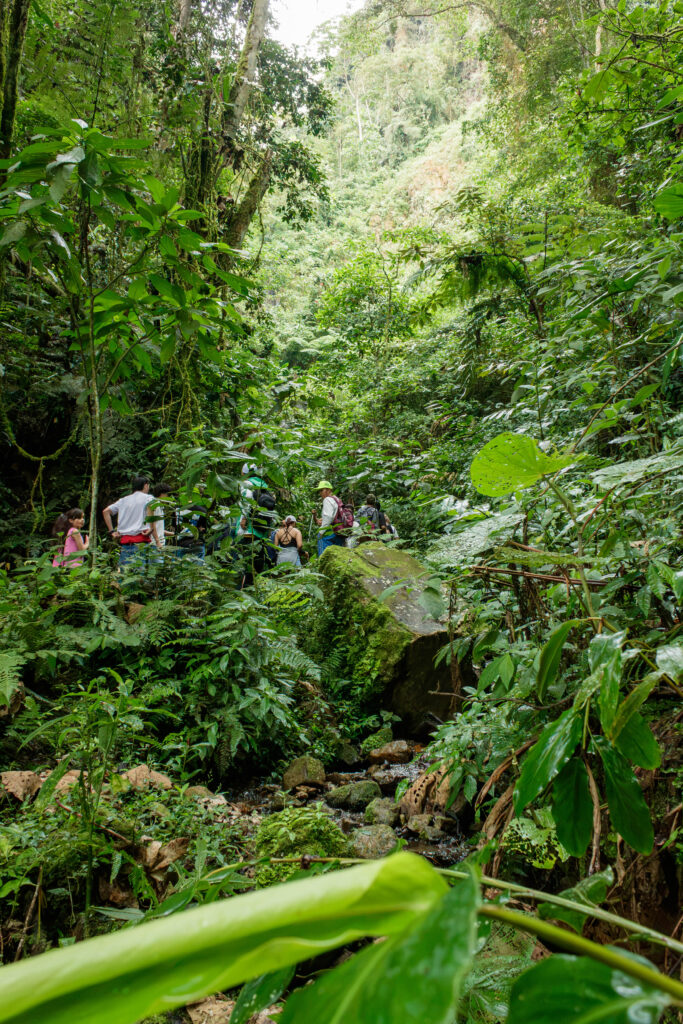 Fusacatán: Un Viaje a las Entrañas del Guardián de los Sutagaos 23