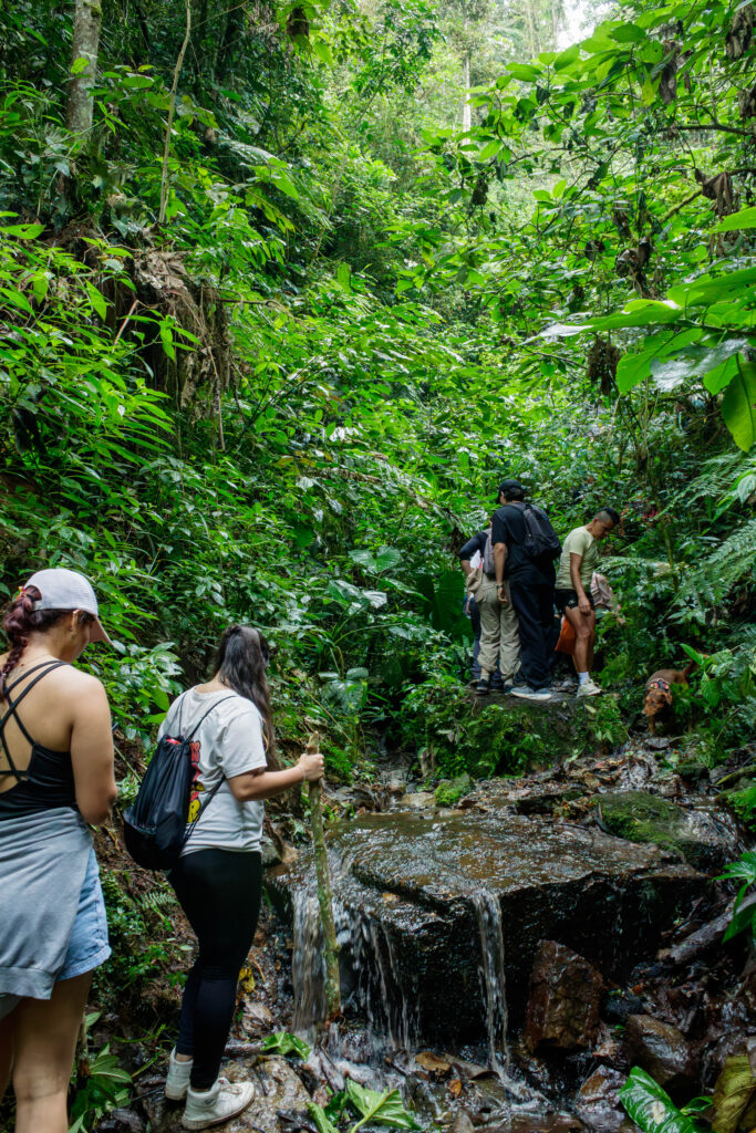 Fusacatán: Un Viaje a las Entrañas del Guardián de los Sutagaos 26