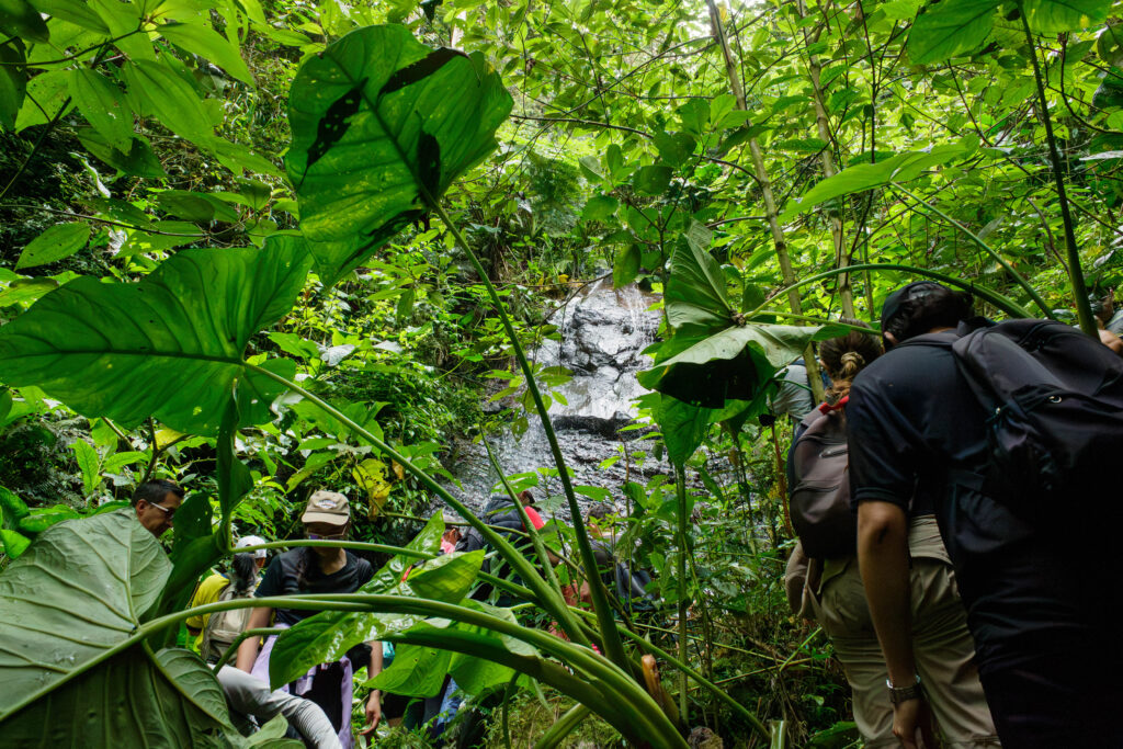 Fusacatán: Un Viaje a las Entrañas del Guardián de los Sutagaos 27
