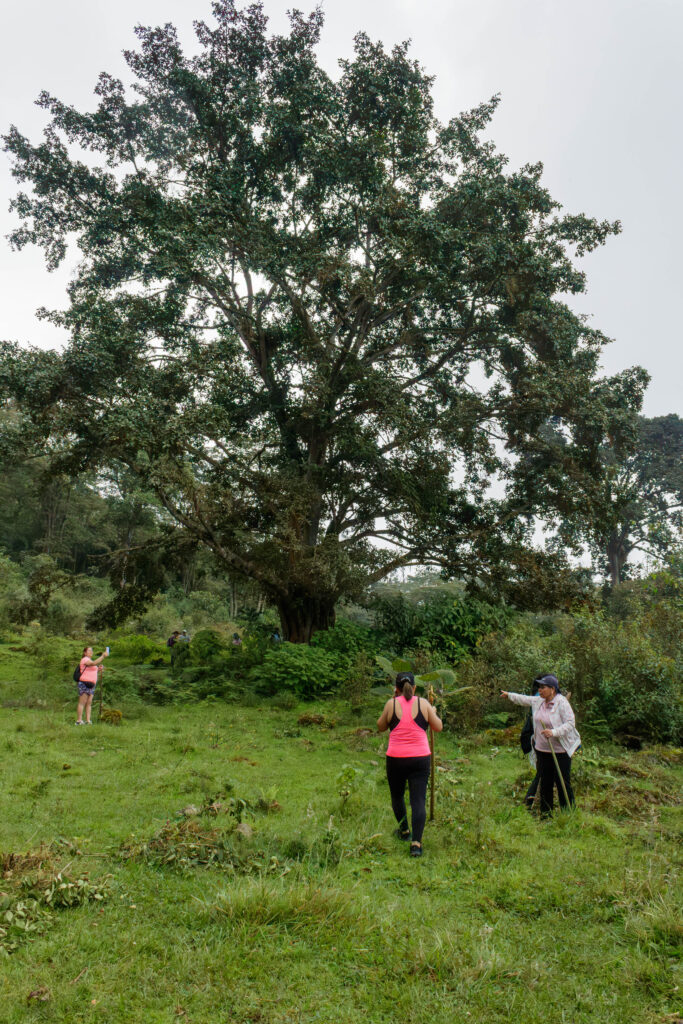 Fusacatán: Un Viaje a las Entrañas del Guardián de los Sutagaos 33