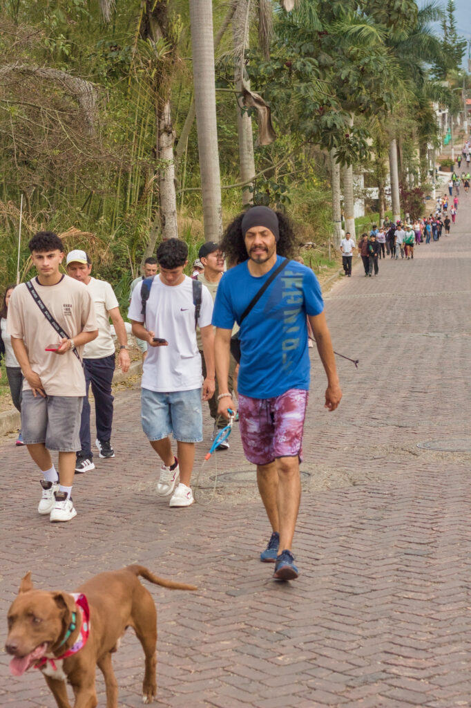 Caminata Tres Esquinas en Fusagasugá: Crónica, Ruta y Fotos (2026) 32 Hombre caminando con perro pitbull con correa en avenida con palmeras en Fusagasuga