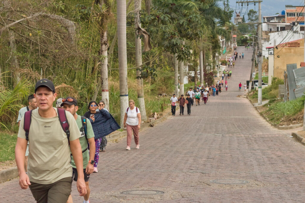 Caminata Tres Esquinas en Fusagasugá: Crónica, Ruta y Fotos (2026) 33 Fila continua de senderistas con morrales y gorras por avenida de palmeras en Fusagasuga