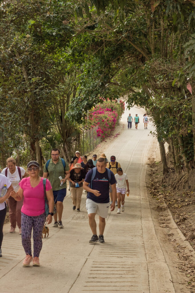 Caminata Tres Esquinas en Fusagasugá: Crónica, Ruta y Fotos (2026) 49 Mujer liderando ascenso por placa huella empinada rodeada de veraneras fucsia en Cucharal Fusagasuga