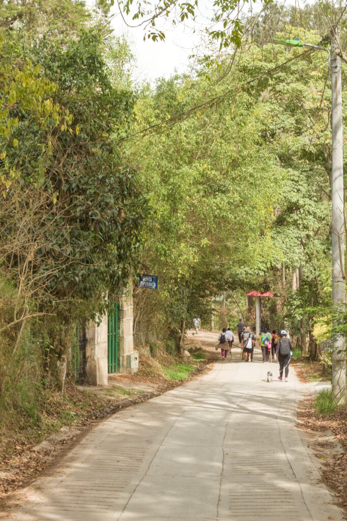 Caminata Tres Esquinas en Fusagasugá: Crónica, Ruta y Fotos (2026) 52 Caminantes bajo tunel vegetal y arboles frondosos en placa huella junto a Quinta Esperanza Fusagasuga