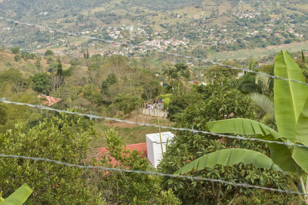 Caminata Tres Esquinas en Fusagasugá: Crónica, Ruta y Fotos (2026) 14 Vista panoramica de colinas verdes y fincas rurales enmarcada por matas de plátano en Fusagasuga