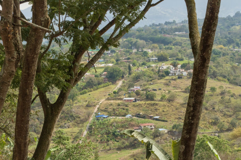 Paisaje rural de la Vereda Novillero enmarcado entre dos troncos de arboles en Fusagasuga