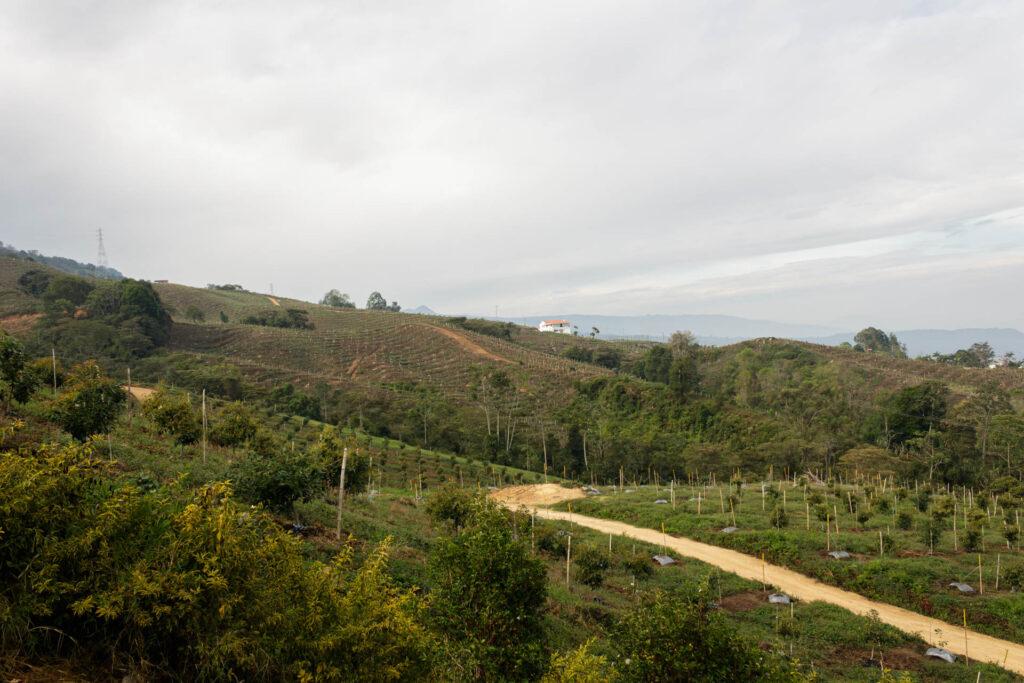 Tras las huellas de los Sutagaos: Una travesía ancestral por el camino La Palma - La Aguadita 12 Caminantes tomando un breve respiro en la parte alta de la vereda La Palma