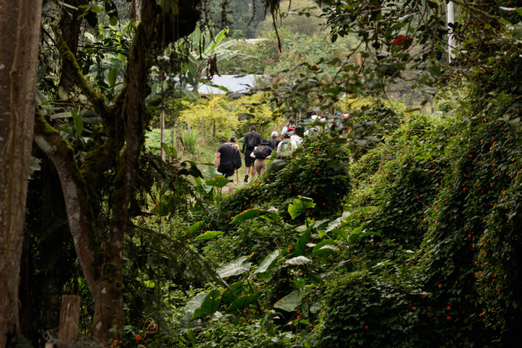 Tras las huellas de los Sutagaos: Una travesía ancestral por el camino La Palma - La Aguadita 15 Inicio del sendero de herradura empedrado en la vereda La Palma