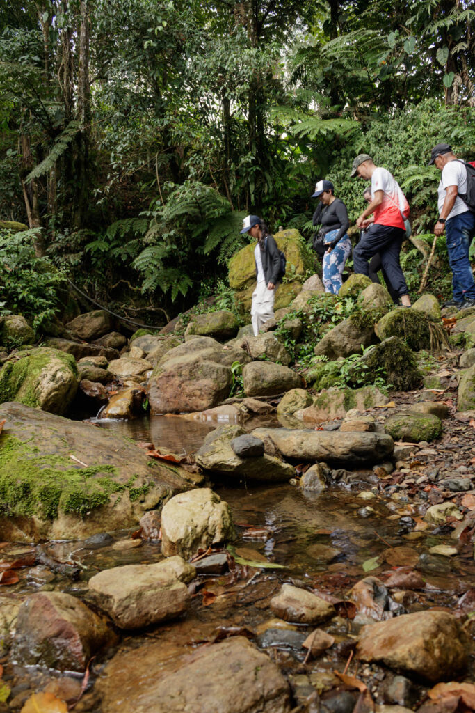Tras las huellas de los Sutagaos: Una travesía ancestral por el camino La Palma - La Aguadita 17 Senderistas atravesando una quebrada.