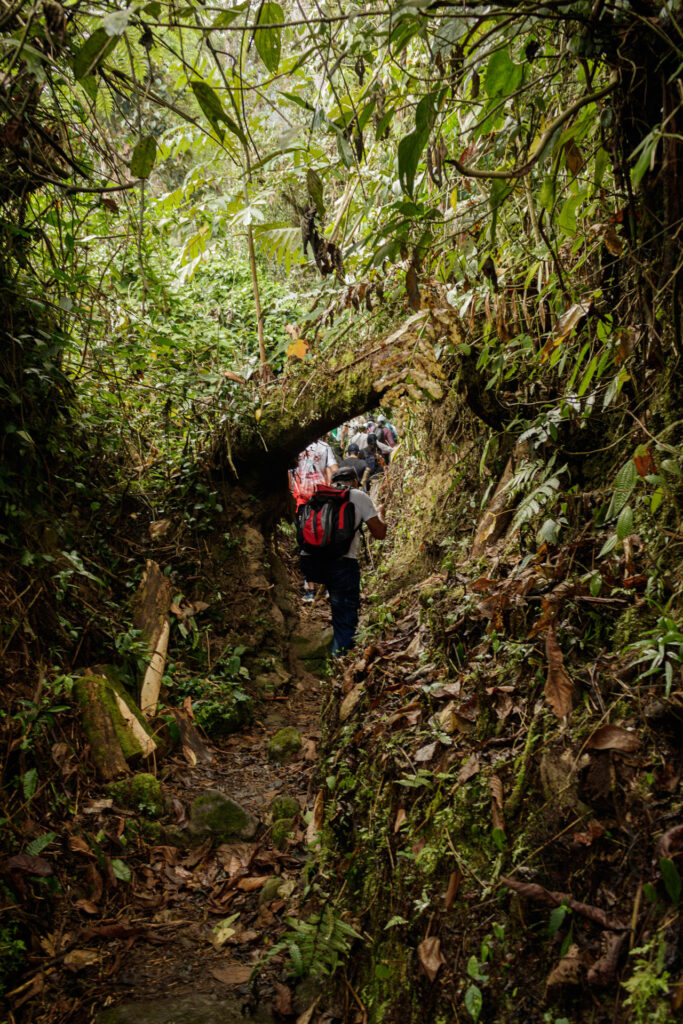 Tras las huellas de los Sutagaos: Una travesía ancestral por el camino La Palma - La Aguadita 20 Persona caminando con baston sobre terreno irregular de montana