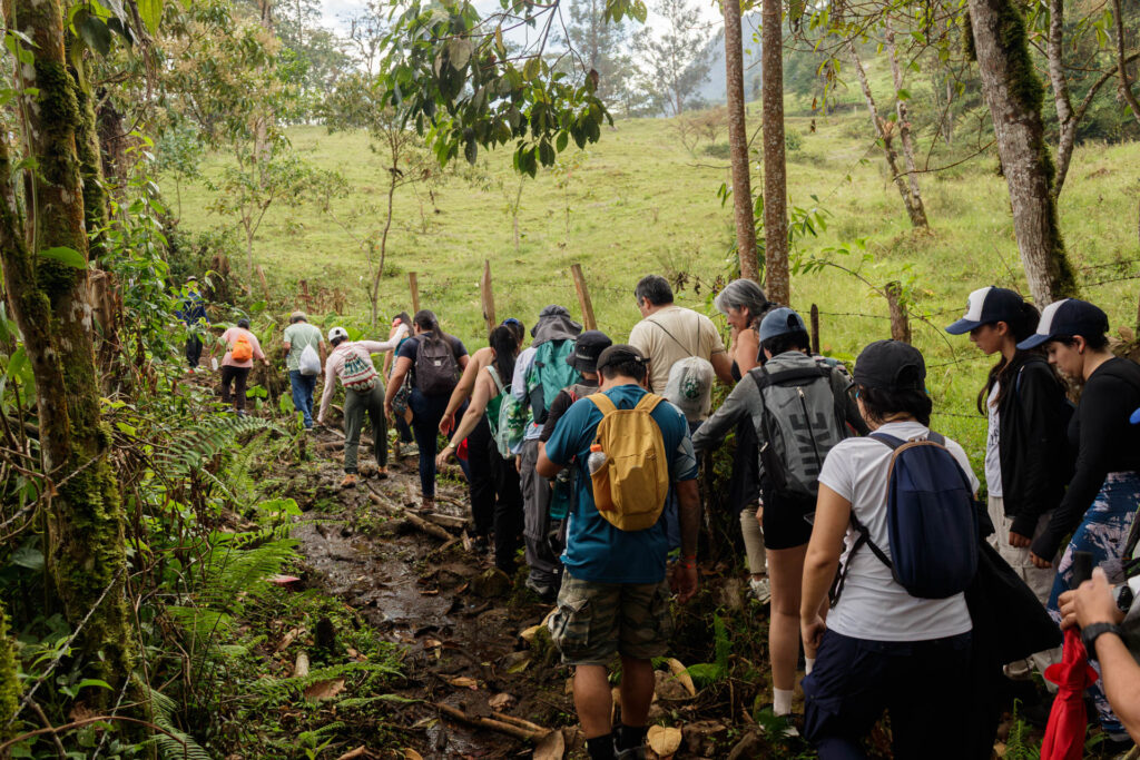 Tras las huellas de los Sutagaos: Una travesía ancestral por el camino La Palma - La Aguadita 21 Senderistas atravesando sendero de herradura con barro y vegetacion frondosa