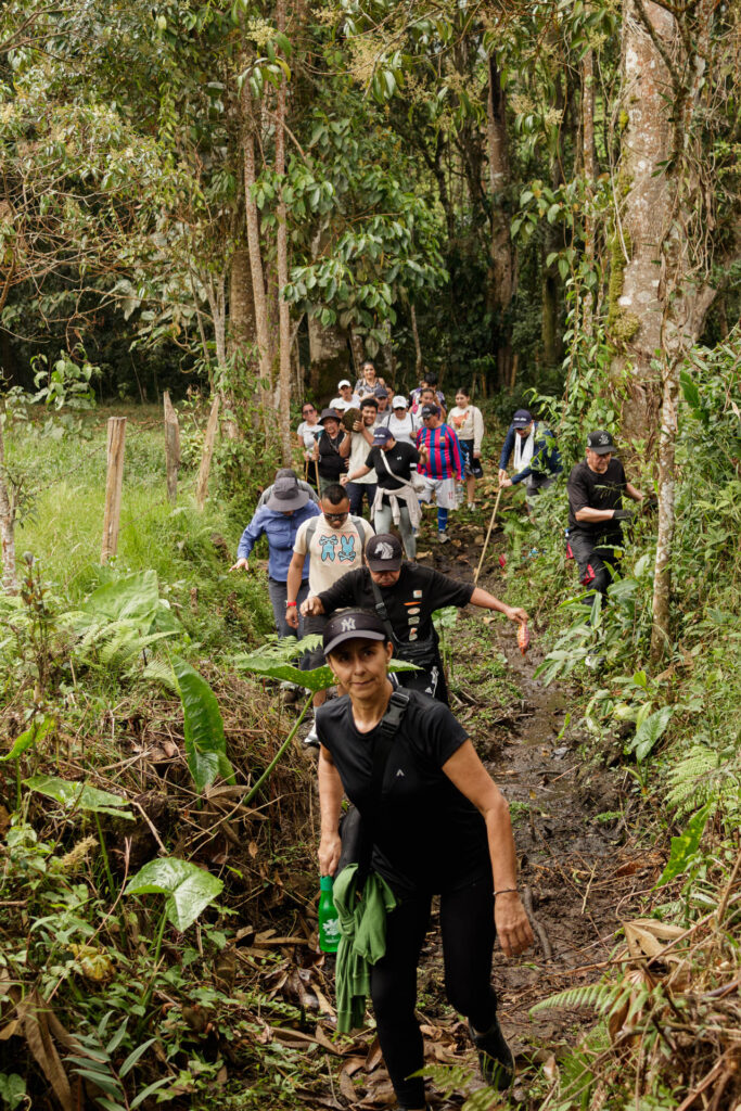 Tras las huellas de los Sutagaos: Una travesía ancestral por el camino La Palma - La Aguadita 23 Senderista equipado ascendiendo por sendero rural de Fusagasuga