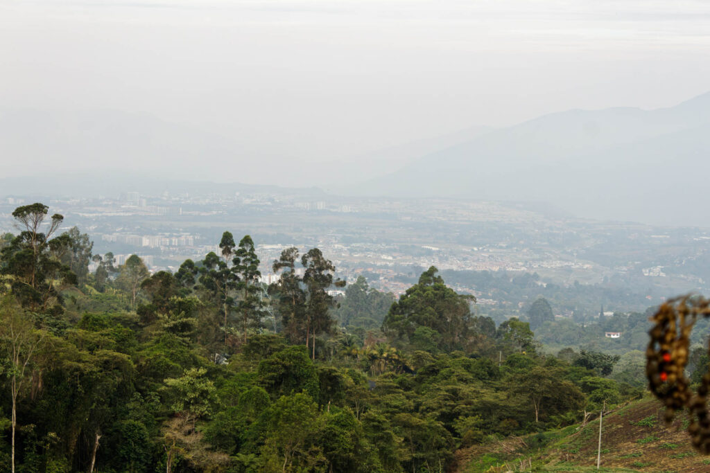 Tras las huellas de los Sutagaos: Una travesía ancestral por el camino La Palma - La Aguadita 24 Fincas campesinas y laderas verdes en la zona rural de Fusagasuga