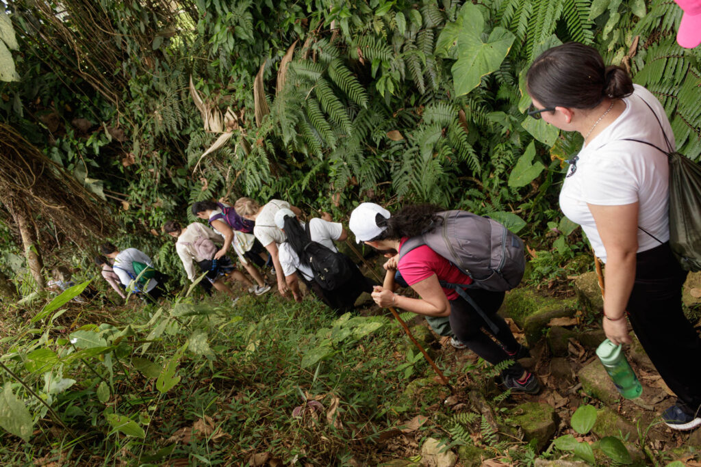 Tras las huellas de los Sutagaos: Una travesía ancestral por el camino La Palma - La Aguadita 35 Caminantes descienden por caminos empedrados.