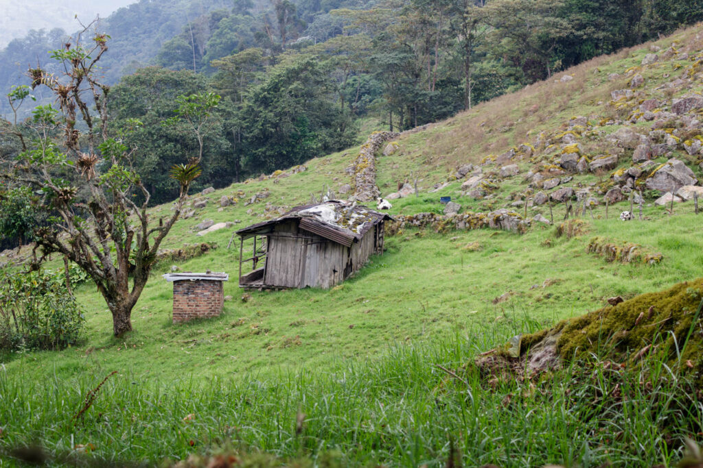 Tras las huellas de los Sutagaos: Una travesía ancestral por el camino La Palma - La Aguadita 38 Casa abandonada en la montaña
