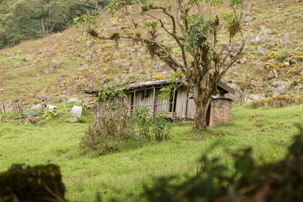Tras las huellas de los Sutagaos: Una travesía ancestral por el camino La Palma - La Aguadita 39 Vista frontal de una casa abandonada.