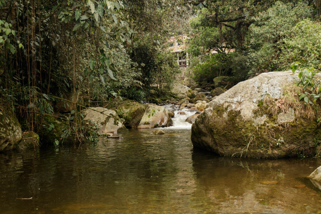 Tras las huellas de los Sutagaos: Una travesía ancestral por el camino La Palma - La Aguadita 50 Pozo de agua transparente rodeado de vegetación nativa en La Aguadita