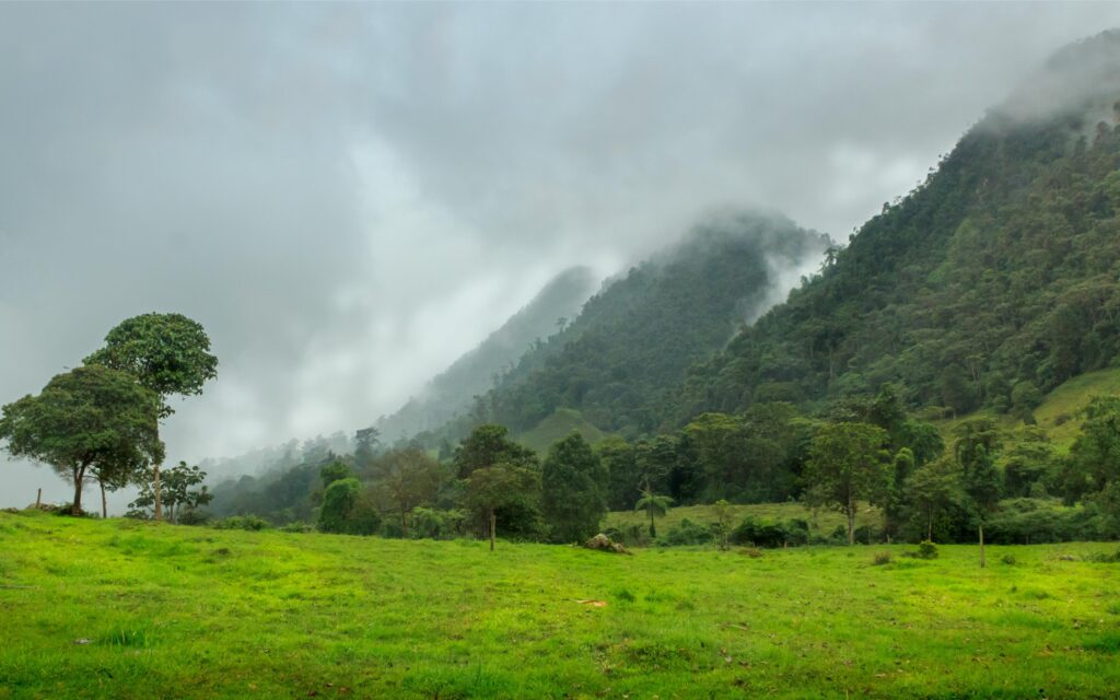 Caminos de Niebla y Montaña: El Manual del Senderista Consciente en Fusagasugá 3